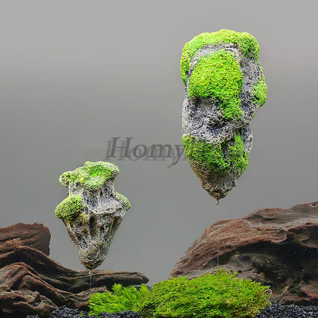 Moss Ball Aquarium - Best Price in Singapore - Dec 2023