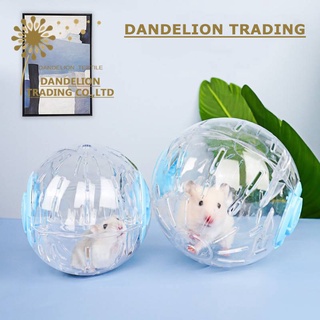 Hamster sales ball shopee