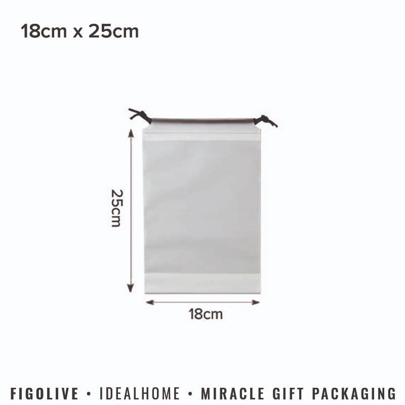 [SG Seller] EVA Translucent/Colorful Drawstring Pouch / PVC Drawstring ...