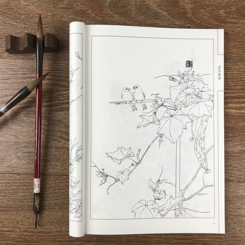 SG汉舟书店☆花鸟画谱中国画线描☆白描底稿技法工笔画花国画中国画ZGH