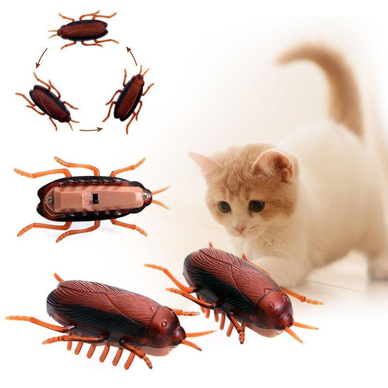 Buy Toy cat At Sale Prices Online - August 2026 | Shopee Singapore