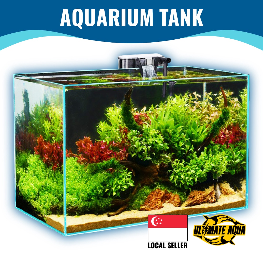 YEE Fish Tank, Crystal Tank With 5mm Thick Glass Transparent Fish