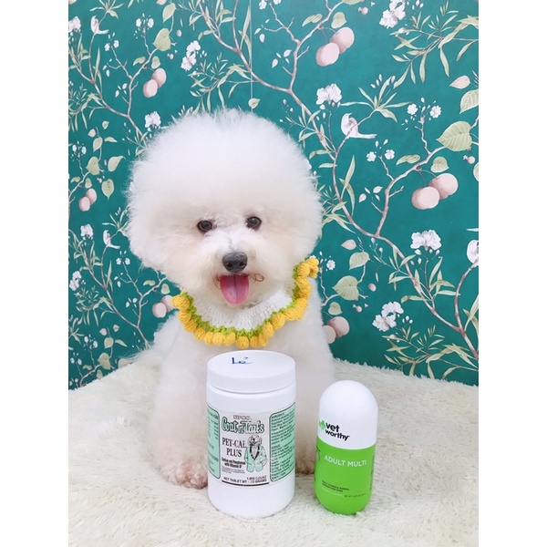 Upco n Tail calcium - calcium for dogs and cats in odd tablets | Shopee ...