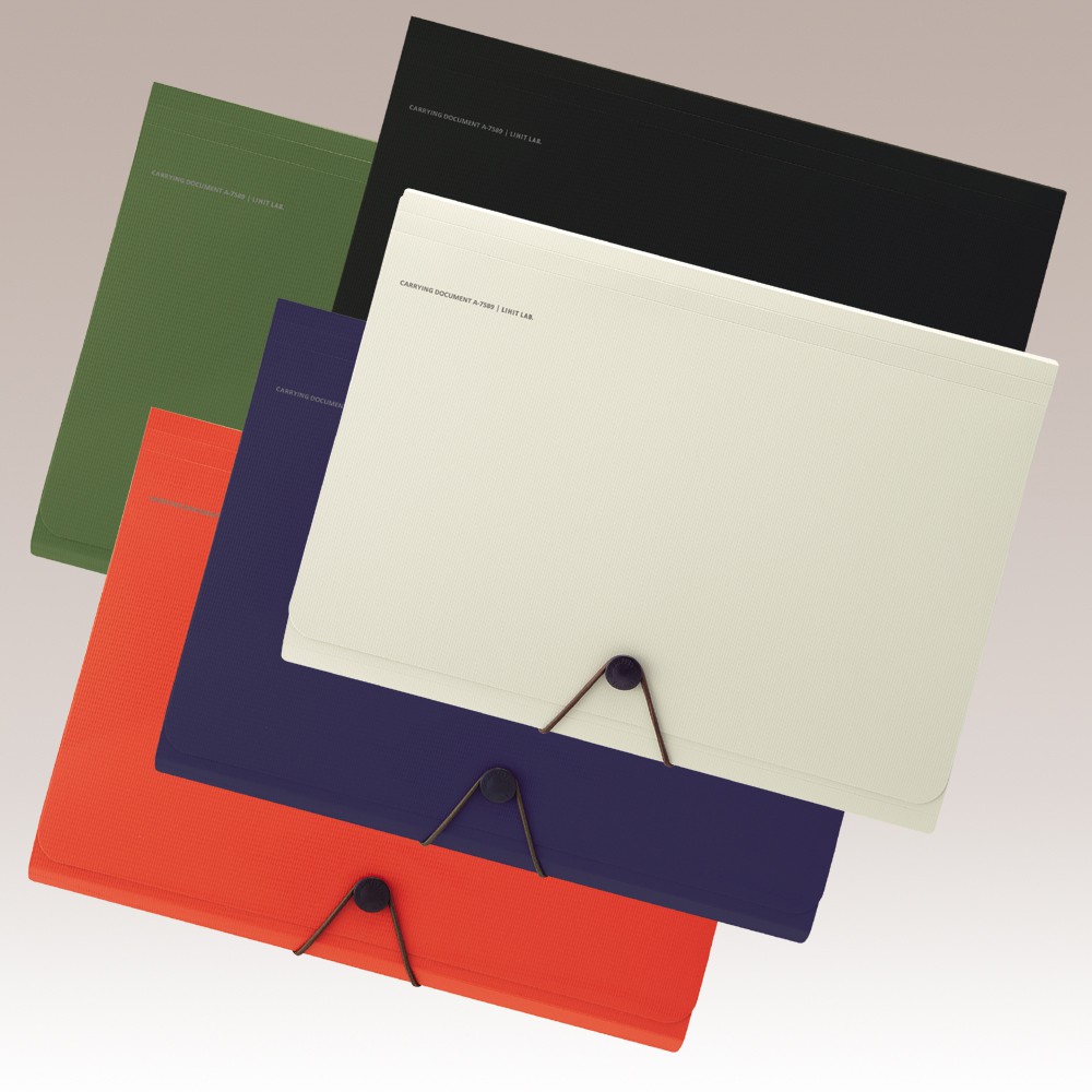 Lihit Lab A4 Document File With 12 Dividers – Indigo Opaque Folder For Organizing - View #13