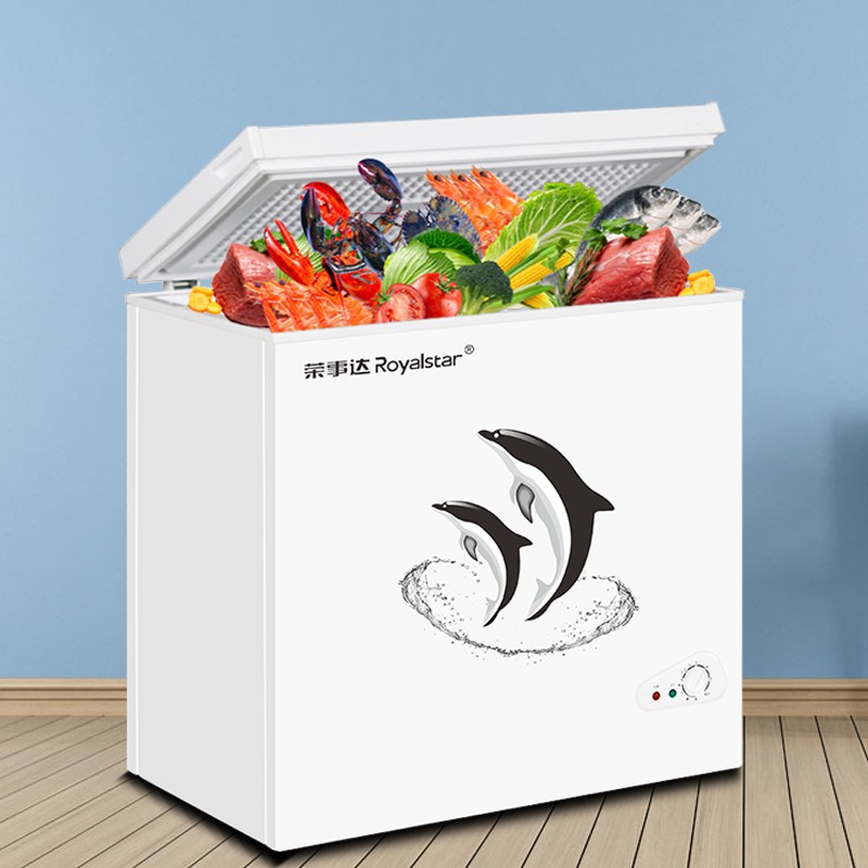 chest freezer Household freezer Mini | Shopee Singapore