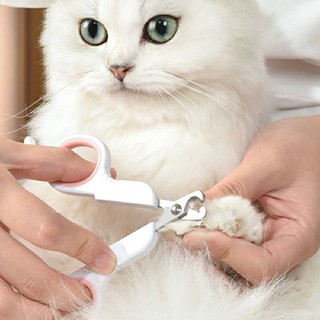 Electric nail clearance file for cats