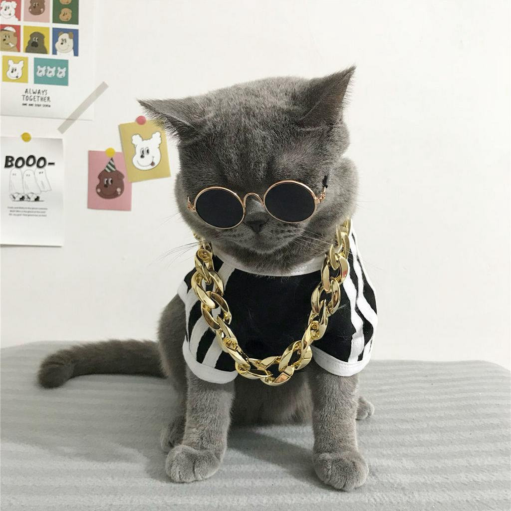 Cat collar gold chain sale