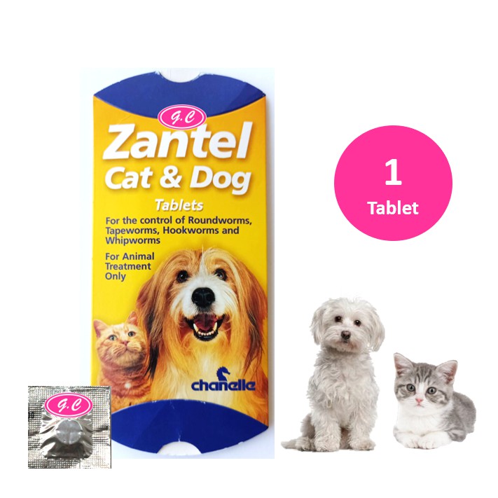 Zantel cat hot sale and dog