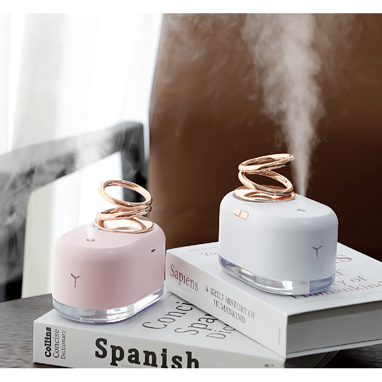 Suspended Double Ring Humidifier 300 ml | Shopee Singapore