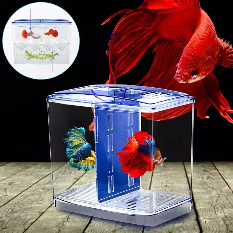SG Local] Fish tank Acrylic Fish Breeding Isolation Box Aquarium Breeder  Fish Tank Hatching Incubator Fish House Home