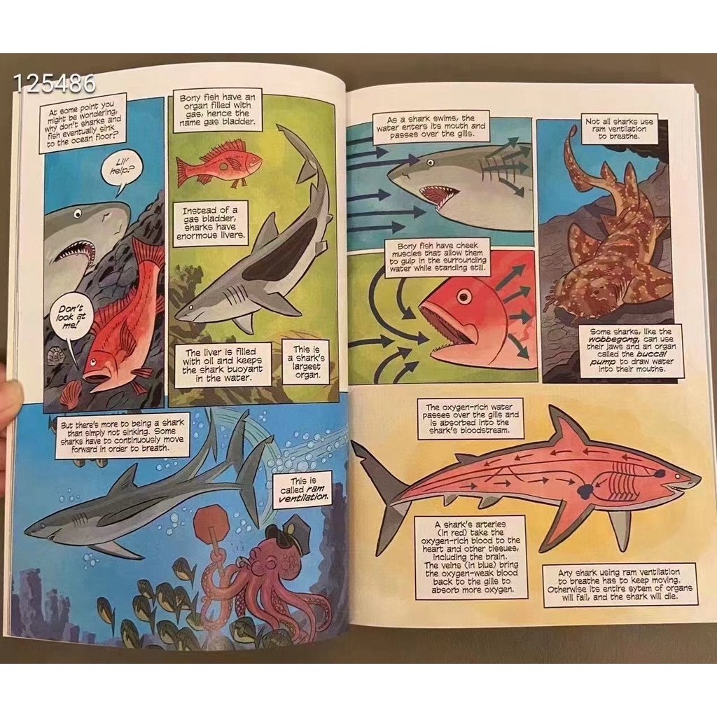 SG Stock] Science Comics Series (31 Books) | Shopee Singapore