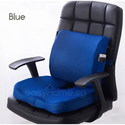 Easyhome.sg Memory Seat Cushion / Lumbar Back Support Ergonomic Office ...