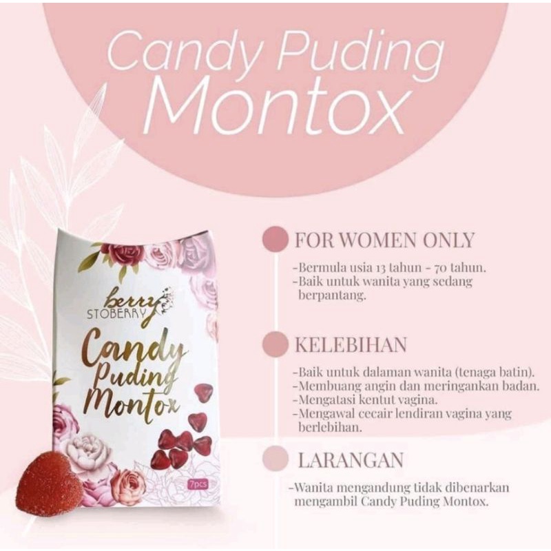 CANDY PUDING MONTOX INSTOCK