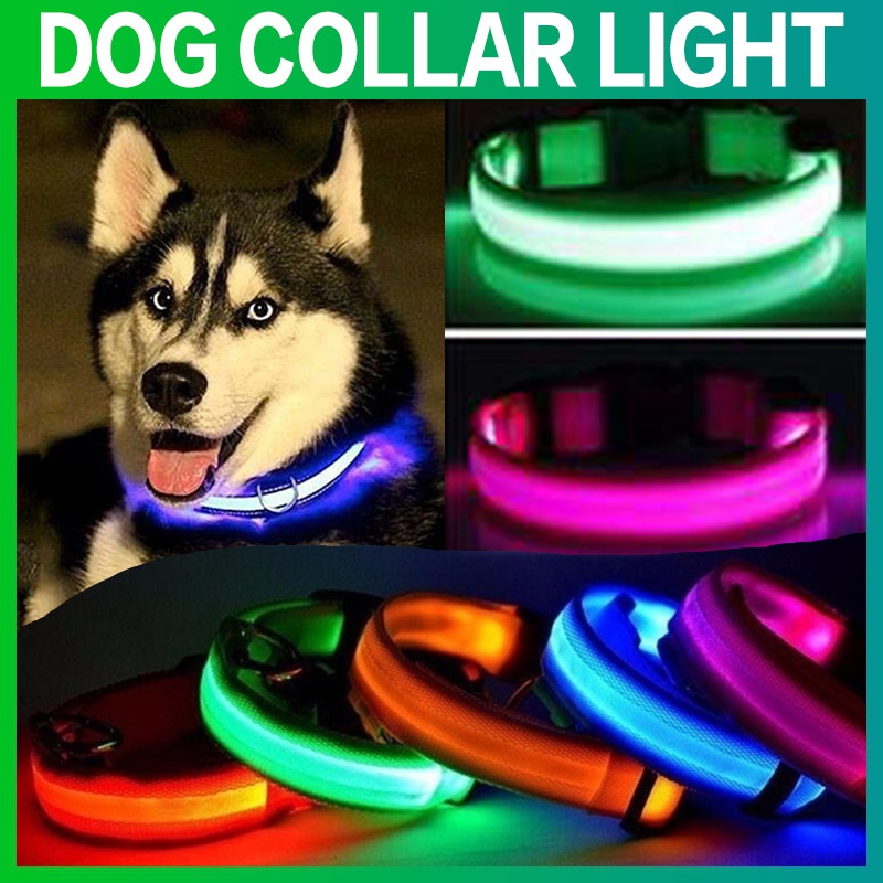 Nylon LED Pet Dog Collar Night Safety Flashing Glow In The Dark Dog Leash Dogs Luminous Fluorescent Collars Pet Supplies