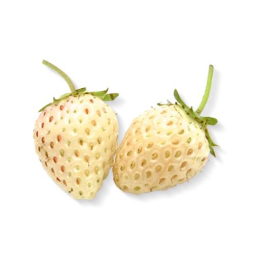 Herbal Essences Clean White Strawberry and Sweet Mint Hair Conditioner 400ml - Gambar 3