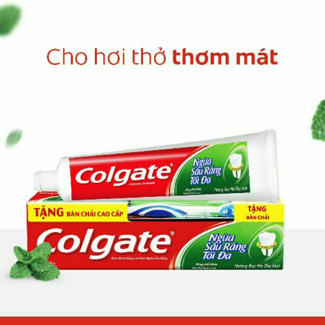 GIVE A PREMIUM TABLE OF Colgate Toothpaste To Prevent Toothpaste