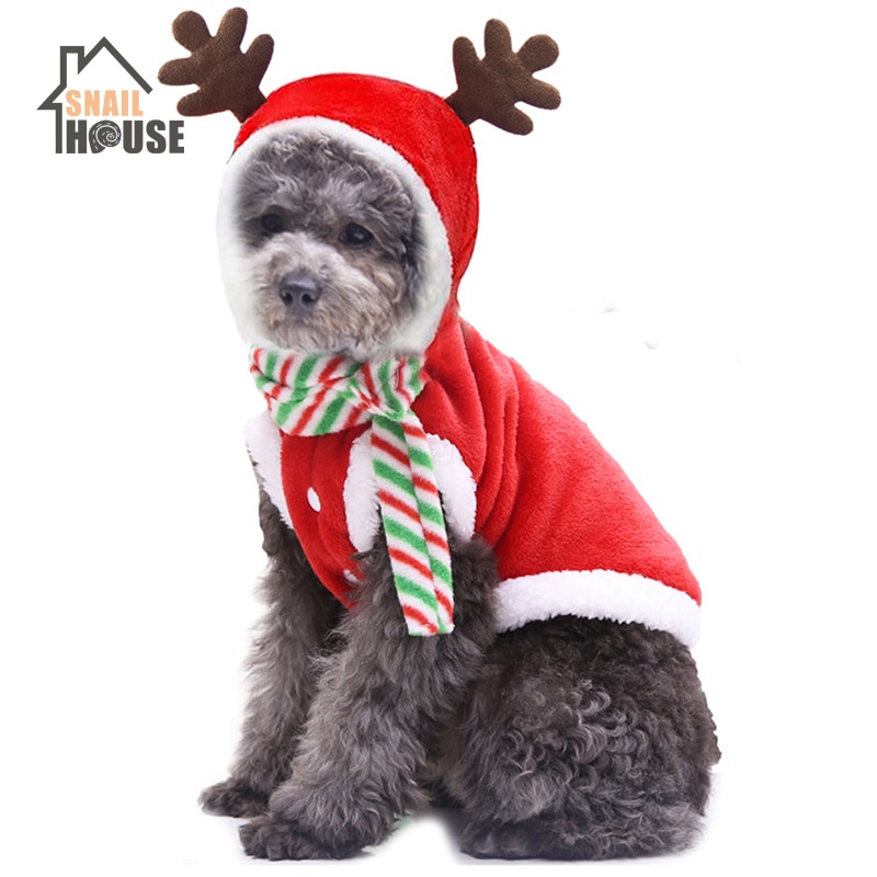 Christmas cat hot sale suit jacket