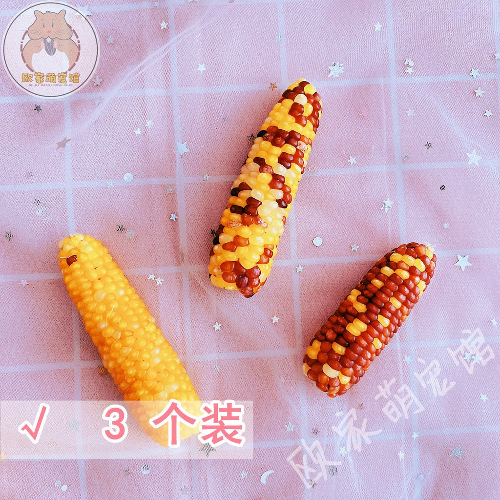 Hamster Molar Mini Corncob Snack Food Molar Tooth Cleaning Supplement