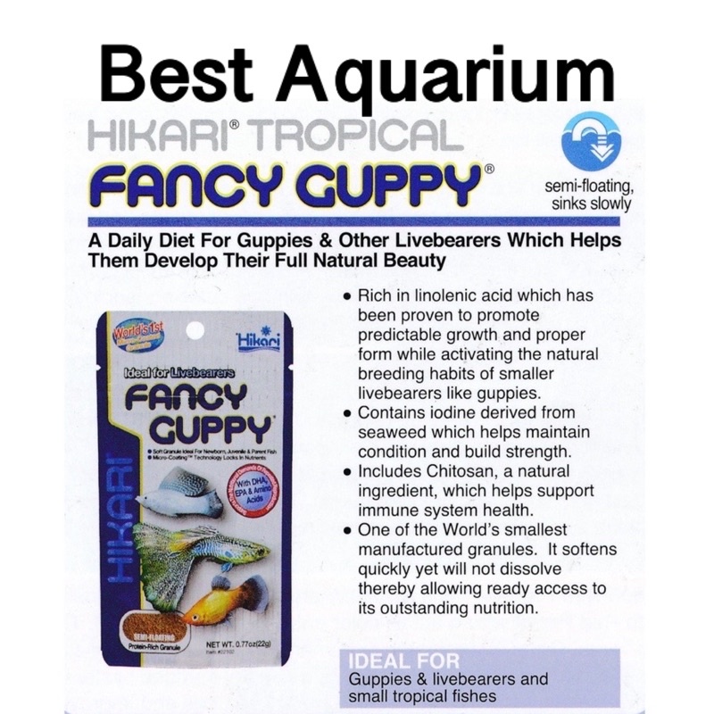 Fancy deals guppy hikari