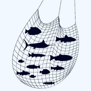 PUTIH White Tangsi Trawl Net/Casting Net  (3,3.5inch)(50,60,70,100md)(incomplete)