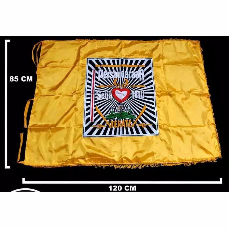 PSHT flag | Screen Printed PSHT Emblem Flag | One sided flag | PSHT ...