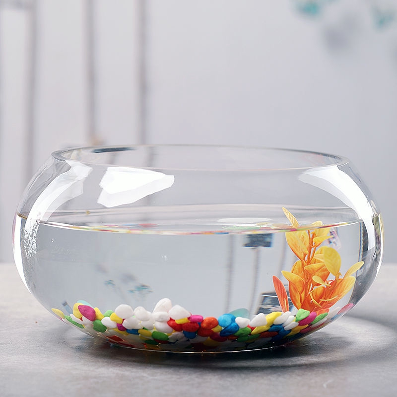 Aquarium Fish Tank Crystal Red Cherry Shrimp Round Glass Feeding Dish ...