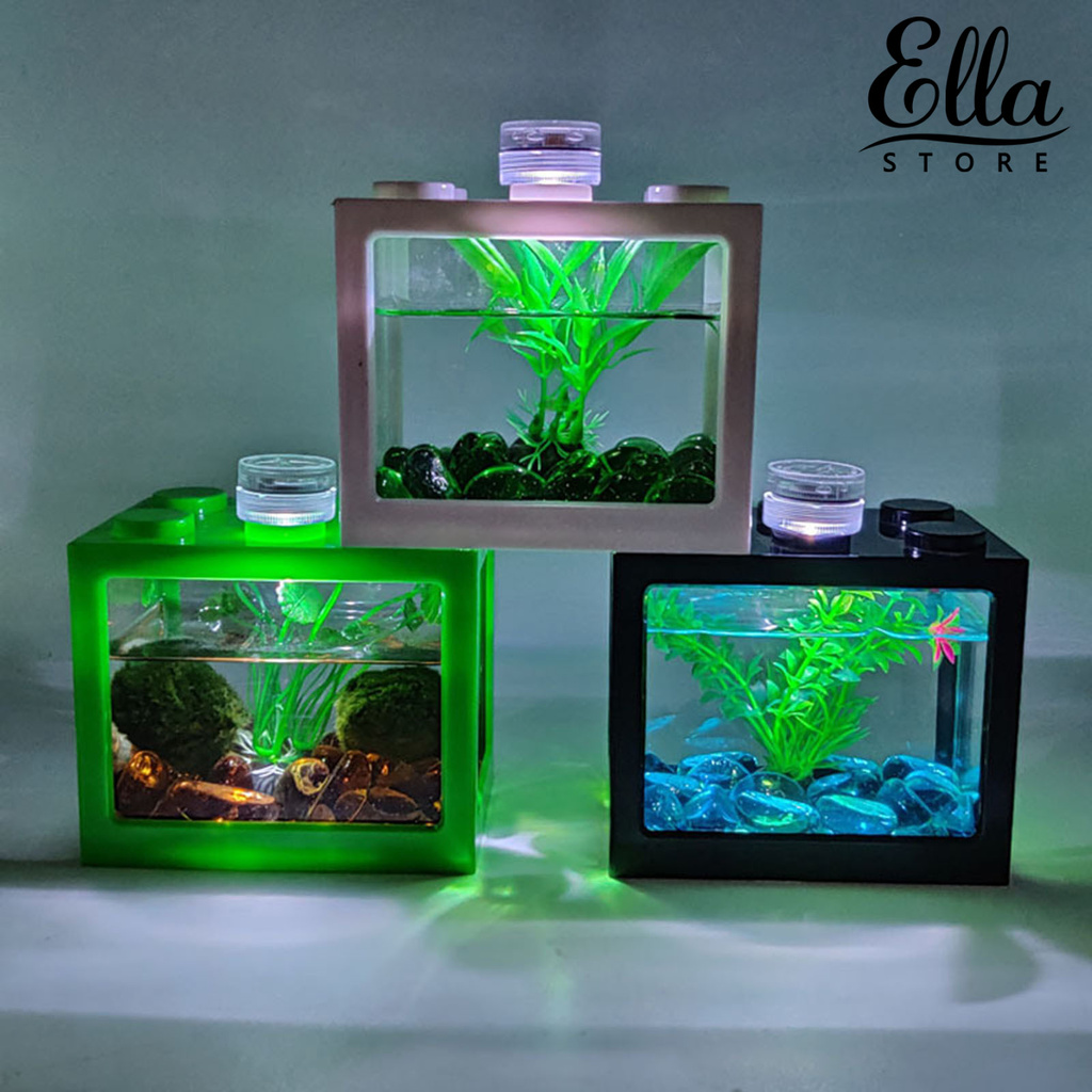 Small Fish Tank Desktop Creative Ecological Micro Landscape Bucket Mini  Tropical Aquarium With led Light (Video)