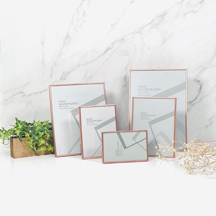 SG Stock Matte Rose Gold Frame Glass panel 4R A4 Wall