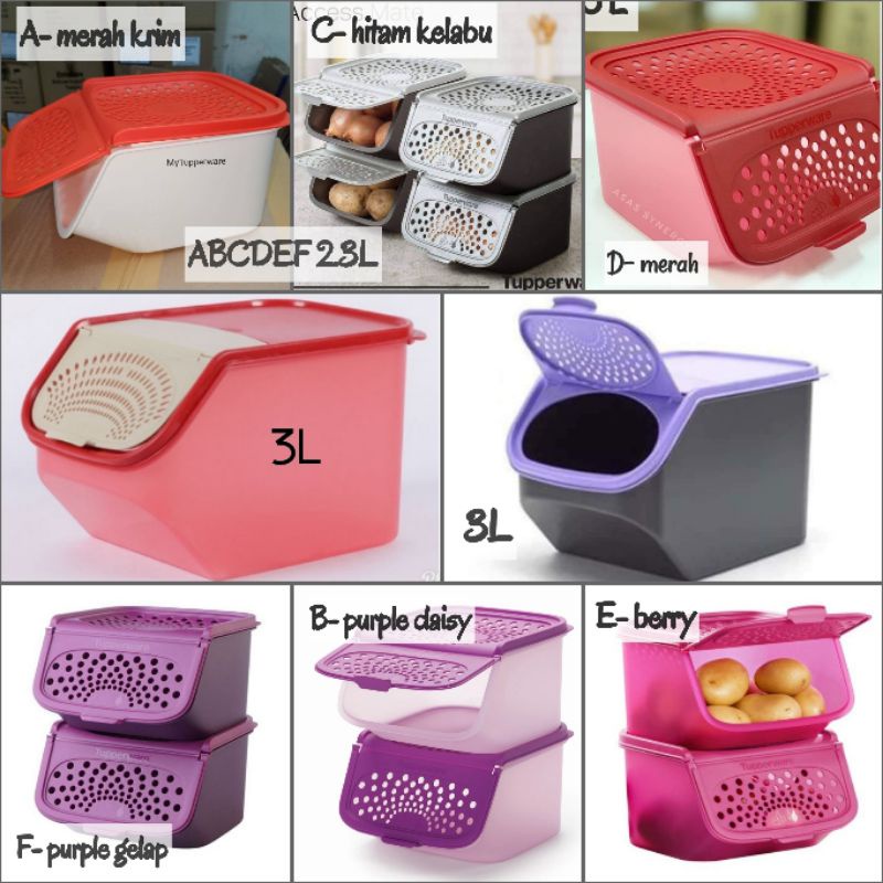 Tupperware Accessmate Garlic Keeper Garlic-N-All-Keeper AccessMate ...