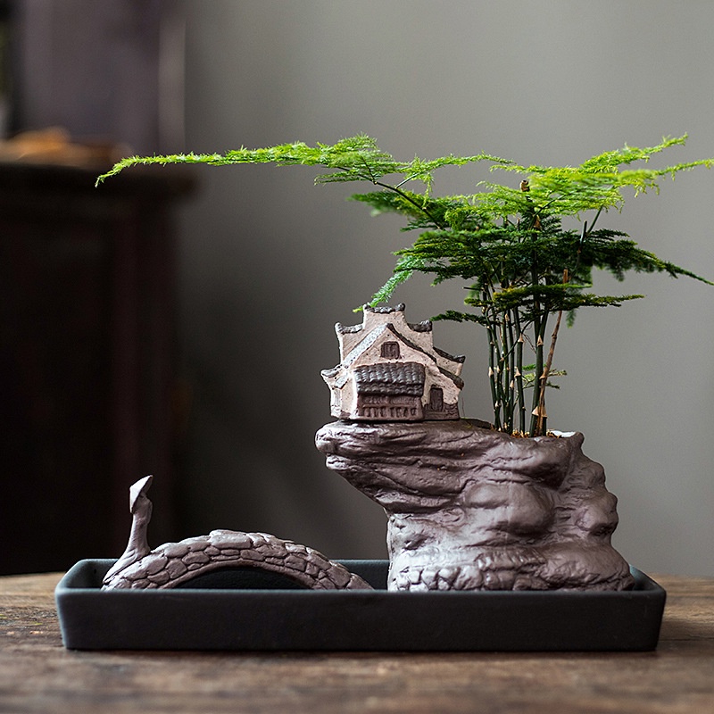 schnfrucht bonsai Bonsai-Schnfrucht  Bonsai winkel
