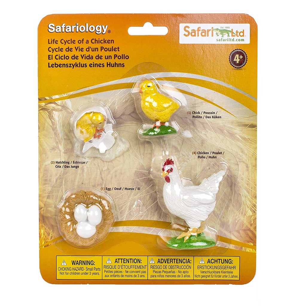 Safari Ltd Life Cycle of a Chicken | Shopee Singapore