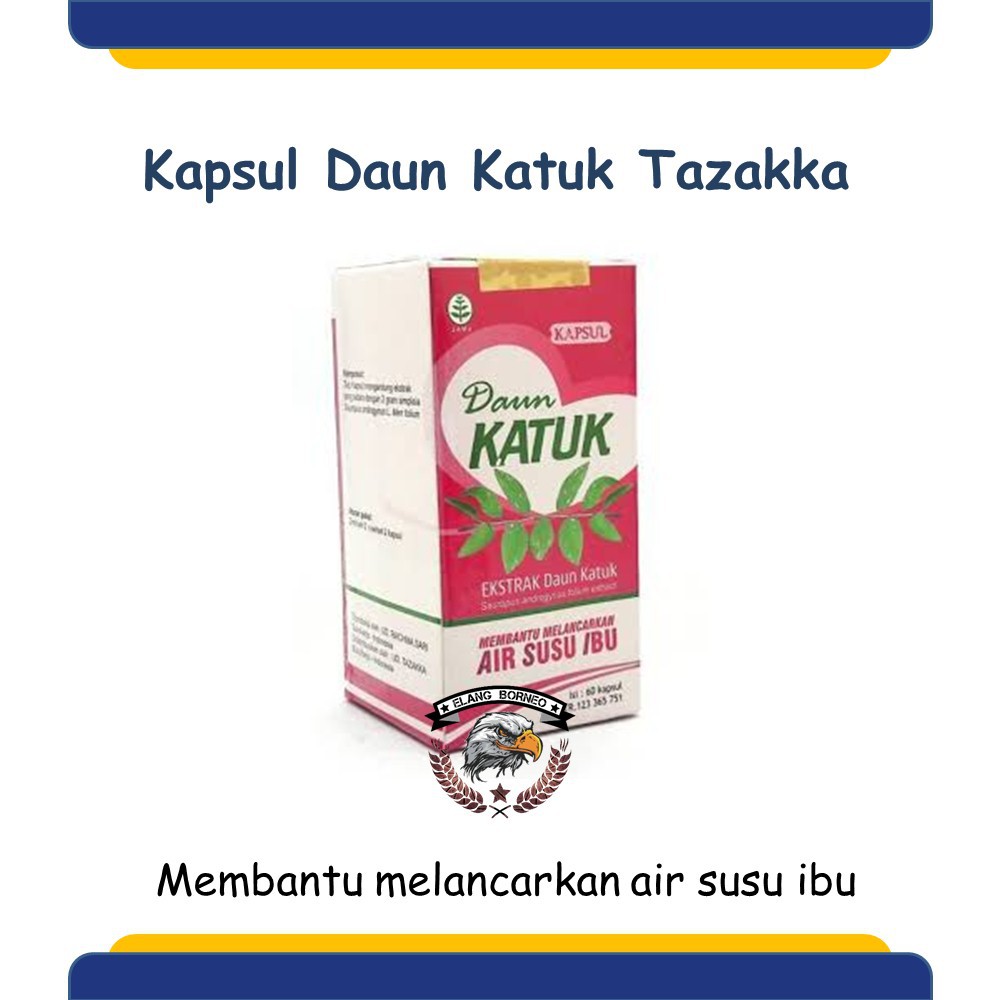 Katuk Tazakka Leaf Capsules Herbal Smoothing Breast Milk For