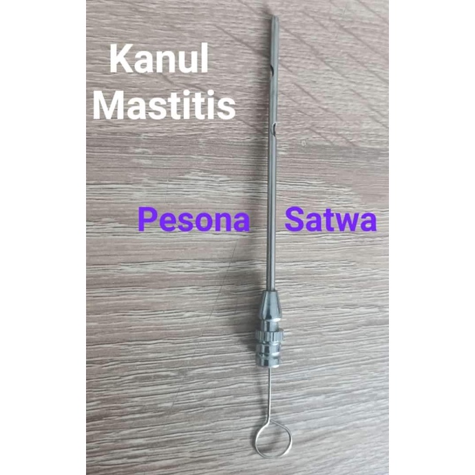 Kerbl 15501 Kanul Mastitis -Udder Catheter, Canul Mastitis, Milk ...