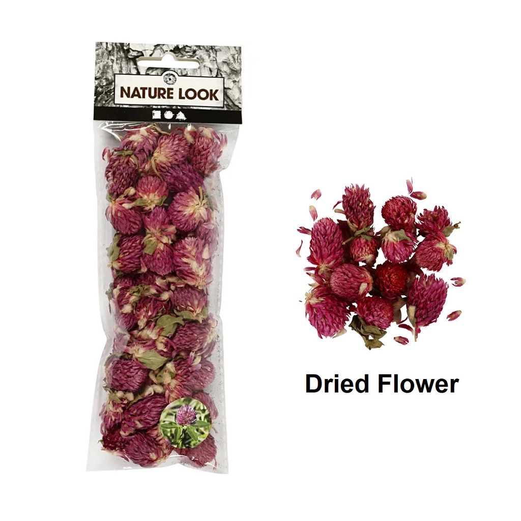 Creotime 15gm Dried Flowers Pack - Red Clover 709502, 5712854431378 ...