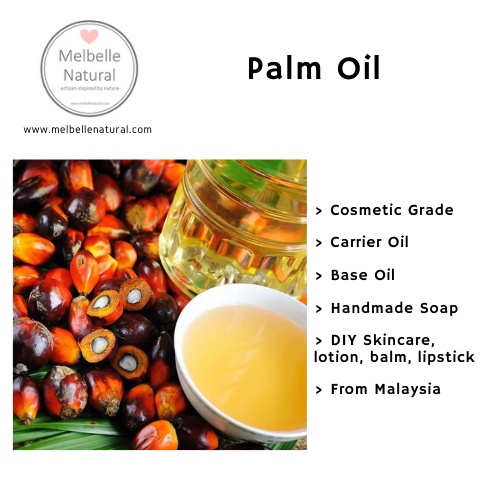 palm oil soap making 