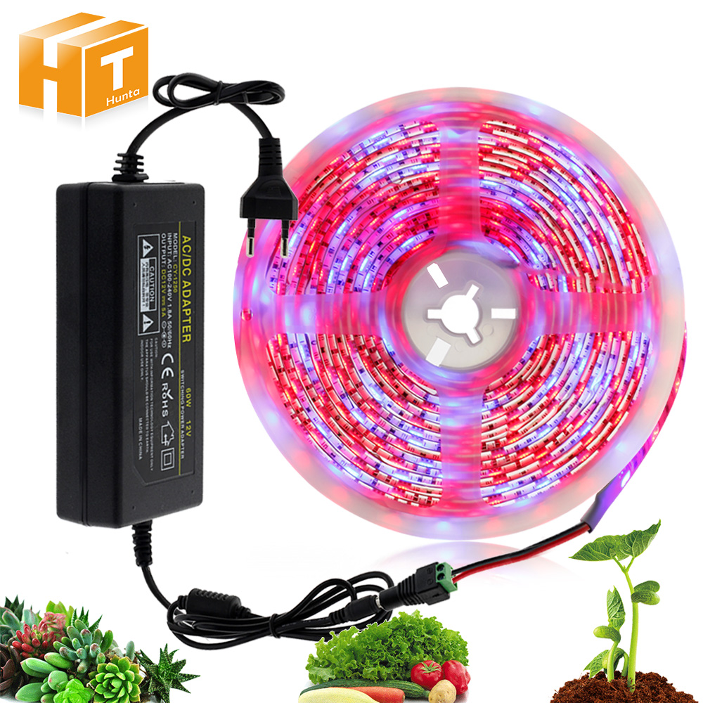 12V Grow Light 5050 5m LED Strip DIY Flexible With Adapter for