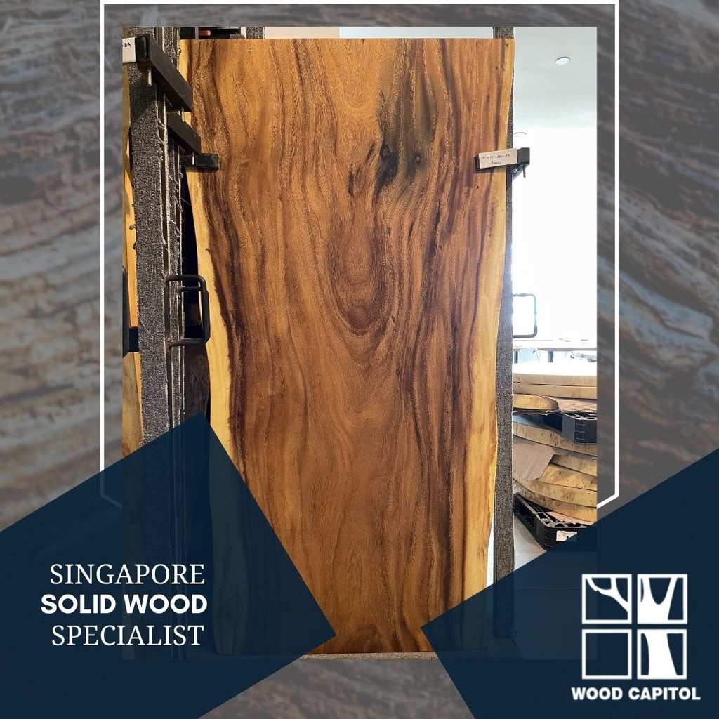 Wood Capitol Suar Wood Singapore Shopee Singapore