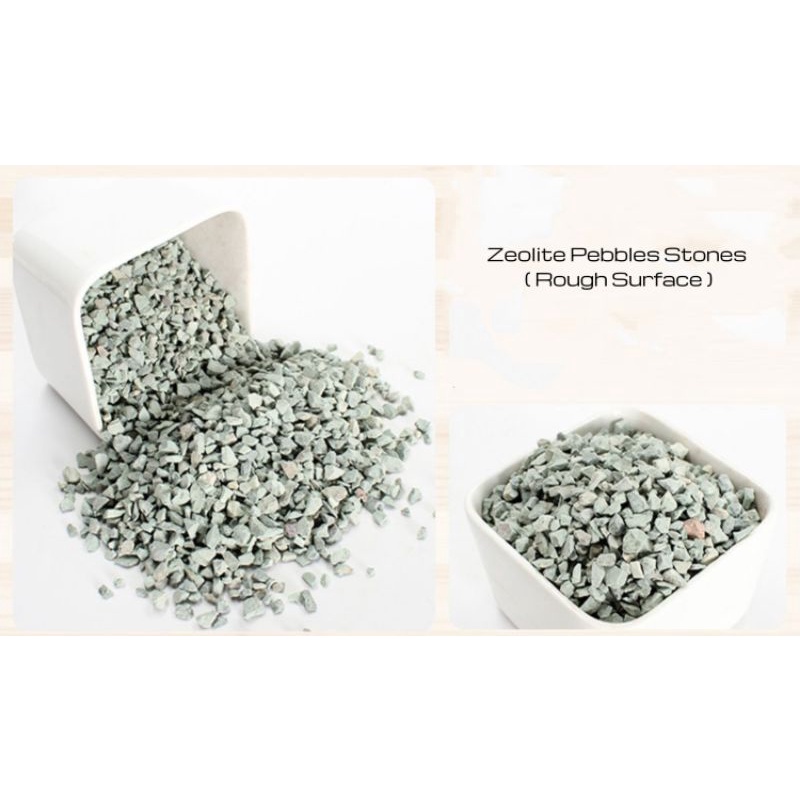 [ SG LOCAL SELLER READY STOCK ] Green zeolite stones rock succulent ...