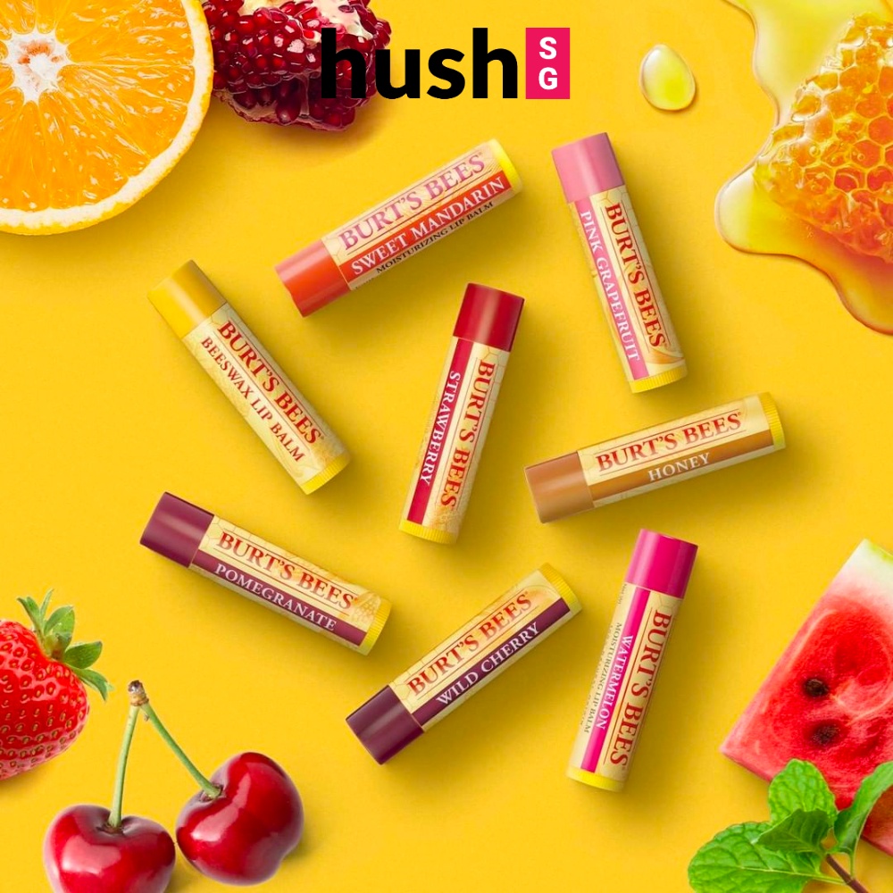 BURT'S BEES Moisturizing Lip Balms / Tinted Lip Balm Beeswax