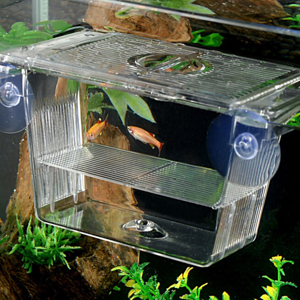 Aquarium Fish Tank Clear Fish Breeding Isolation Box Aquarium Breeder ...