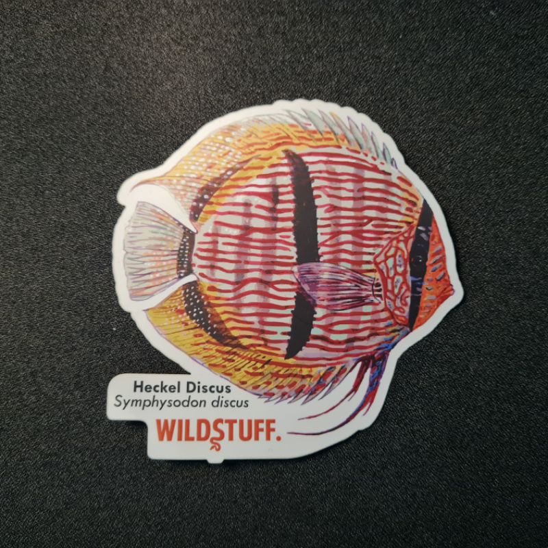 Buy discus fish Products At Sale Prices Online - October 2026 | Shopee ...
