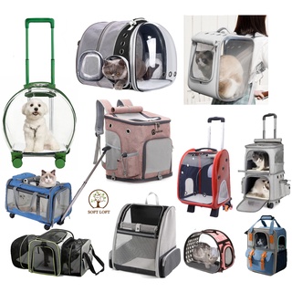 Adjustable Safety Tether Portable Soft-Sided Pet Carrier for Small Dog -  China Pet Carrier and Carrier for Small Dog price
