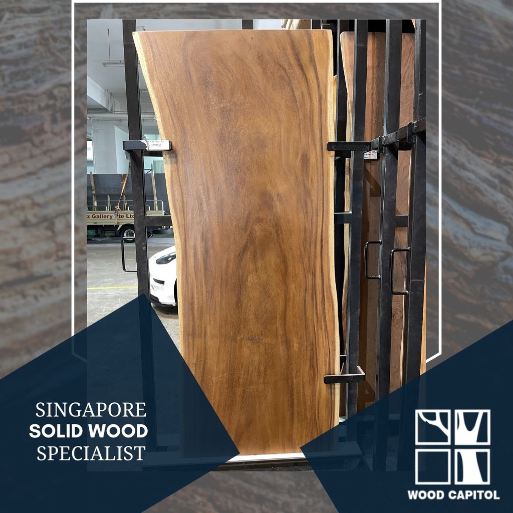 Wood Capitol Suar Wood Singapore Shopee Singapore
