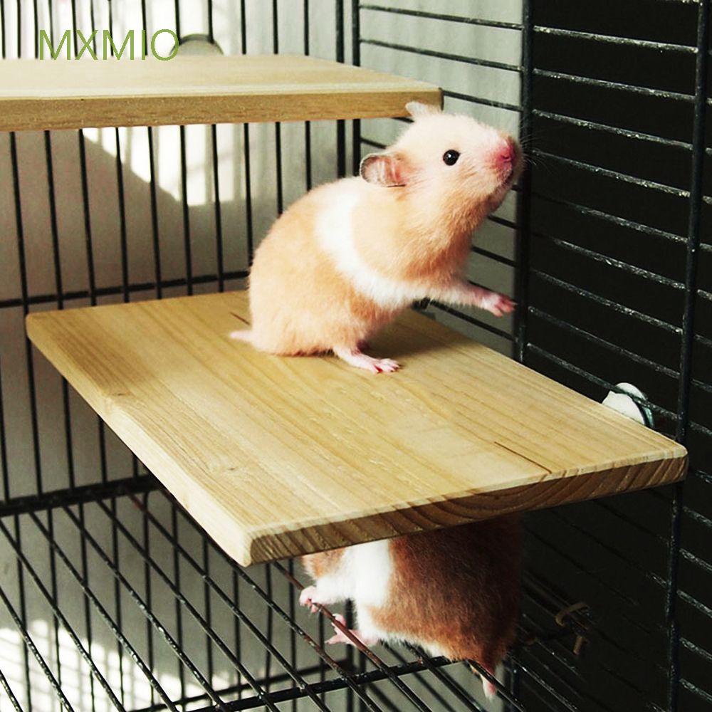 MXMIO Squirrel Wood Stand Platform Ladder Parrot Rack Pet Supplies ...