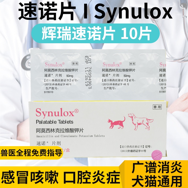 Zoetis Synulox Cough Pet Nose Branch AntiInflammatory Sneezing Oral
