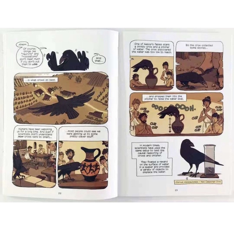 SG）Science Comics 31 Books Box Set | English Science Graphic
