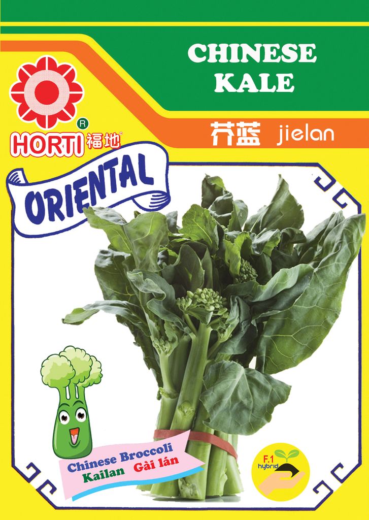 Chinese Kale (Kailan) Shopee Singapore