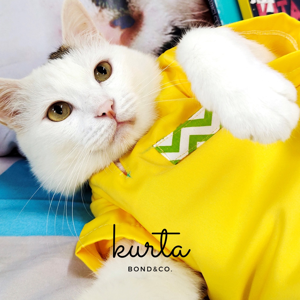 Male cat clothes sale