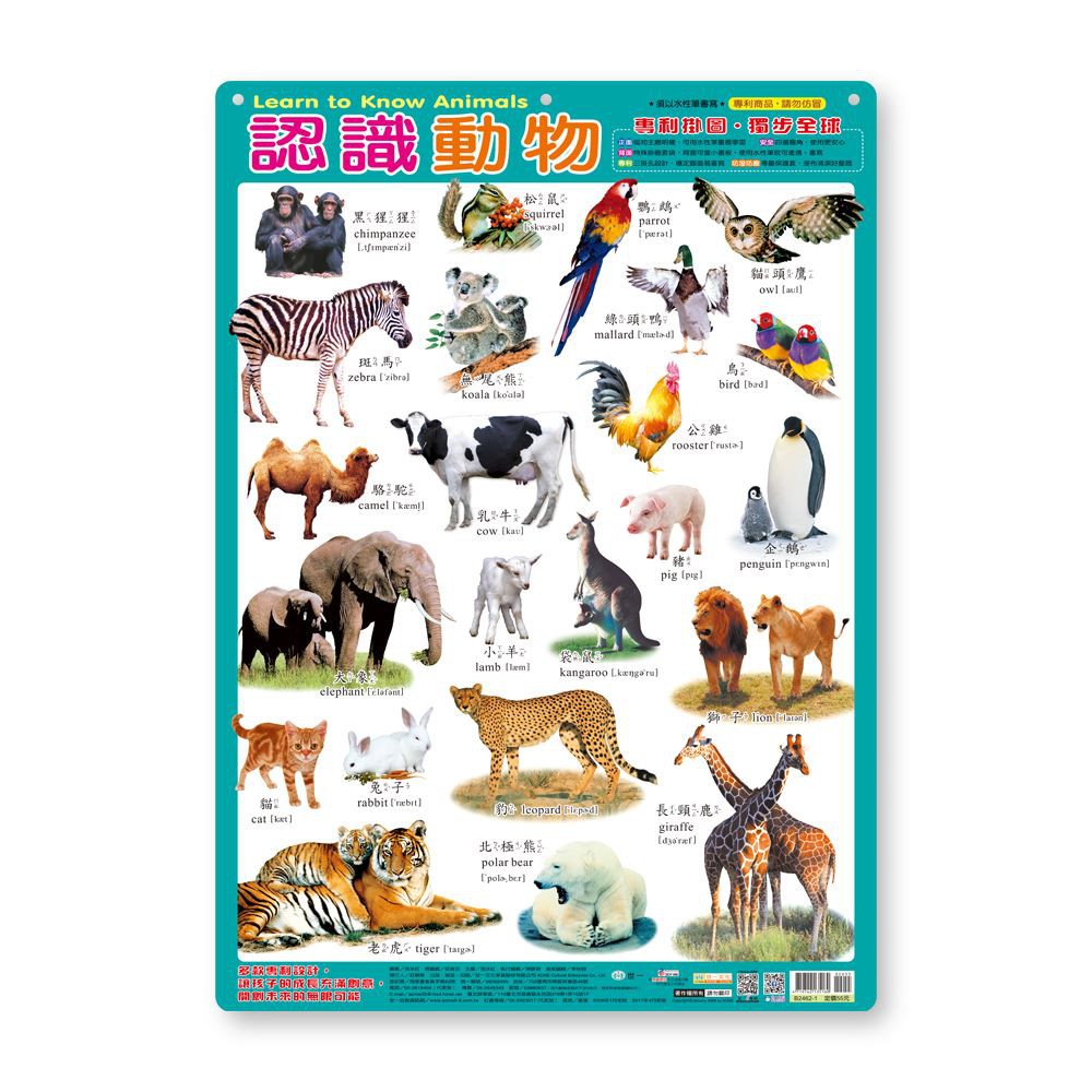 World One Culture B2462-1A Know Animal Wall Chart | Shopee Singapore