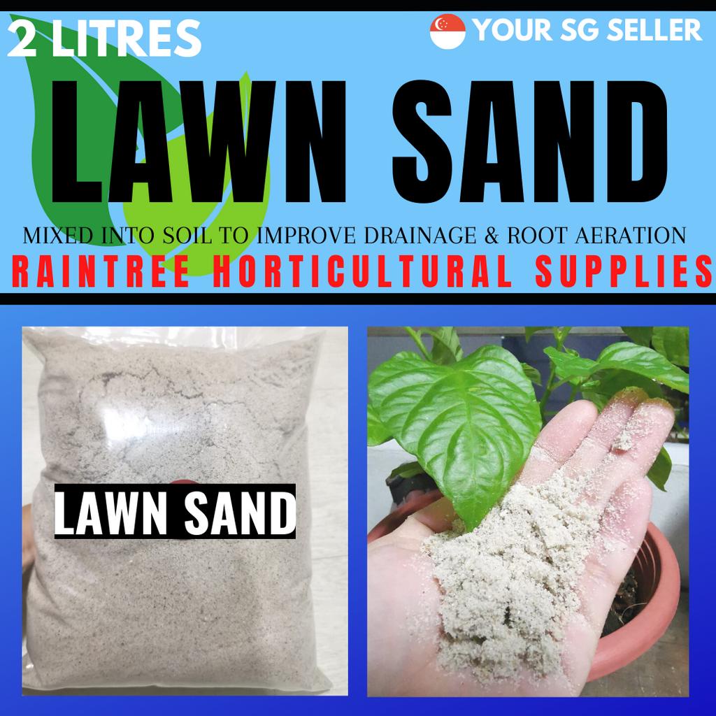 Gardening Lawn Sand 2L [2.3 to 2.6kg] (SG SELLER) plants , to improve ...